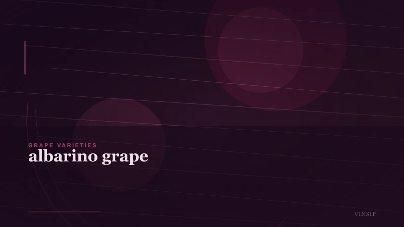 Albarino Grape: A Complete Guide to Albarino Wine and Regions