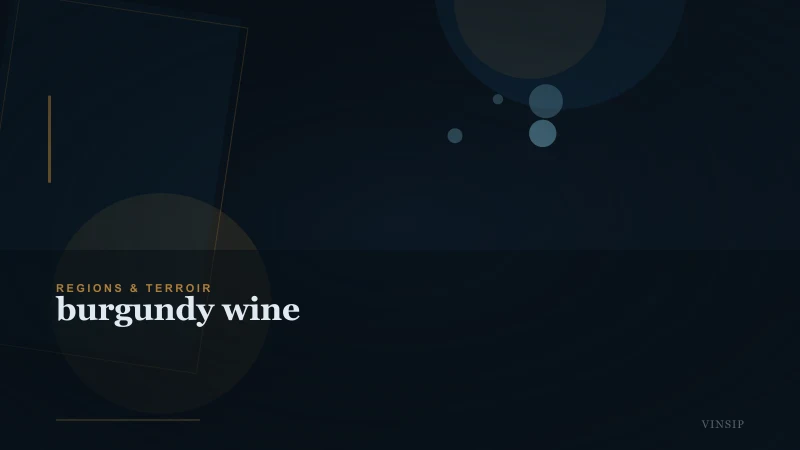 The Essential Burgundy Wine Guide