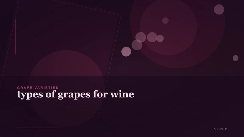 Types of Grapes for Wine: Varieties, Regions, and Pairings