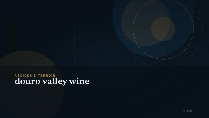 Douro Valley Wine: Tasting, Tours, Top Producers and Practical Tips