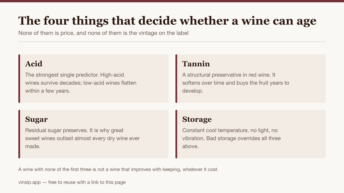 Four labelled blocks naming acid, tannin, sugar and storage as the factors that determine whether a wine can age.
