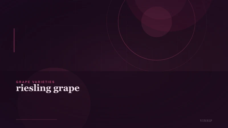 Riesling Grape: Complete Guide to Styles, Regions & Pairings