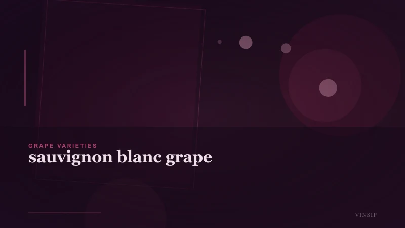 Sauvignon Blanc Grape: Origins, Styles, and Pairings