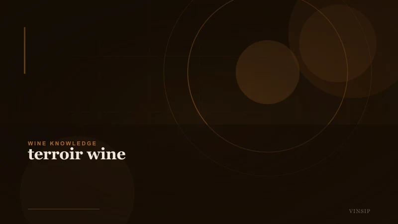 Understanding Terroir Wine: How Place Shapes Flavor