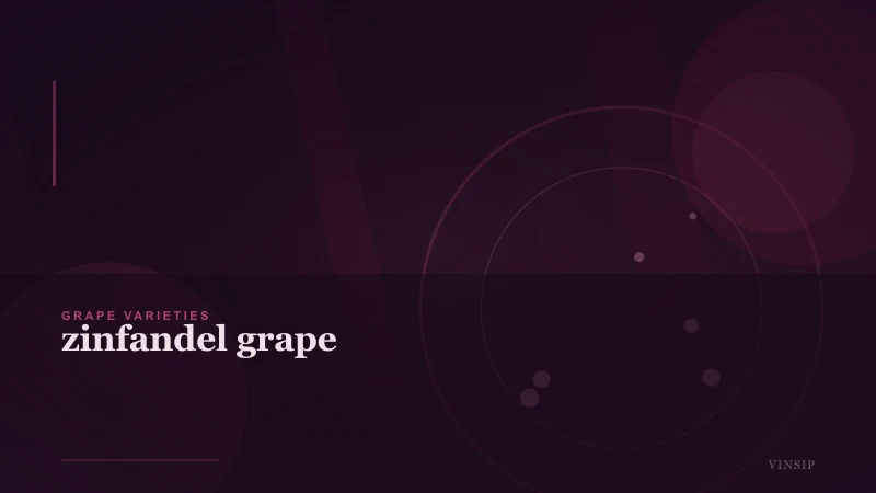Zinfandel Grape: History, Styles, and How to Drink It