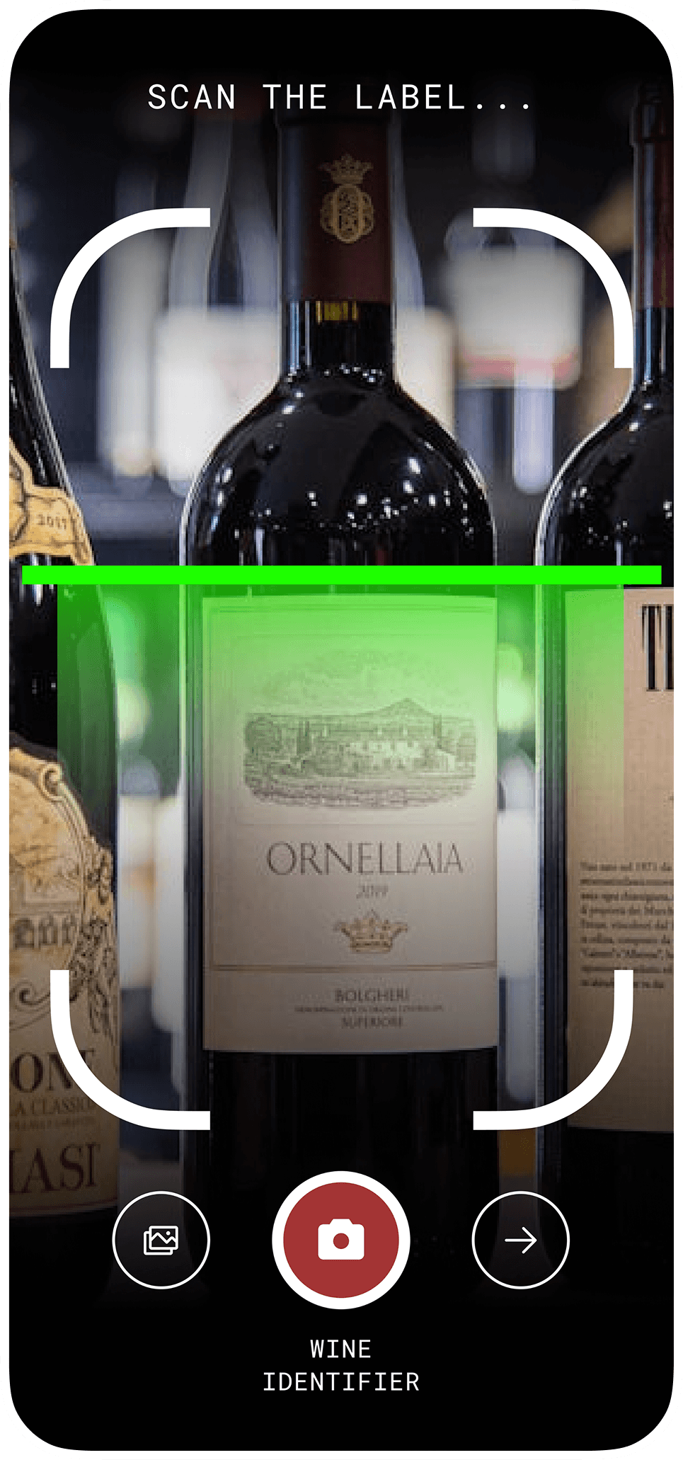 VinSip scanning a wine shelf — AI identifies every bottle in seconds